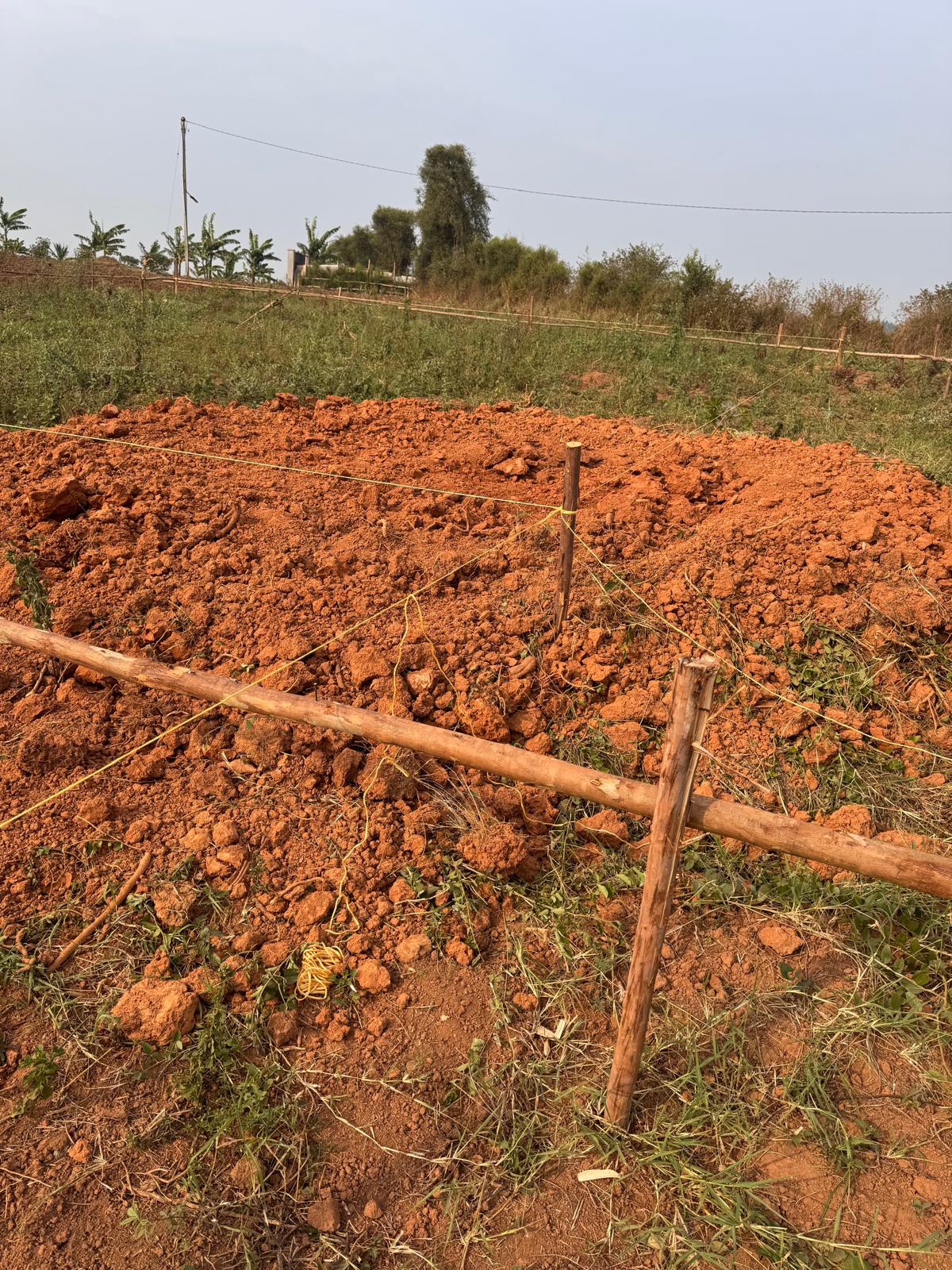 Agri-business market linkages